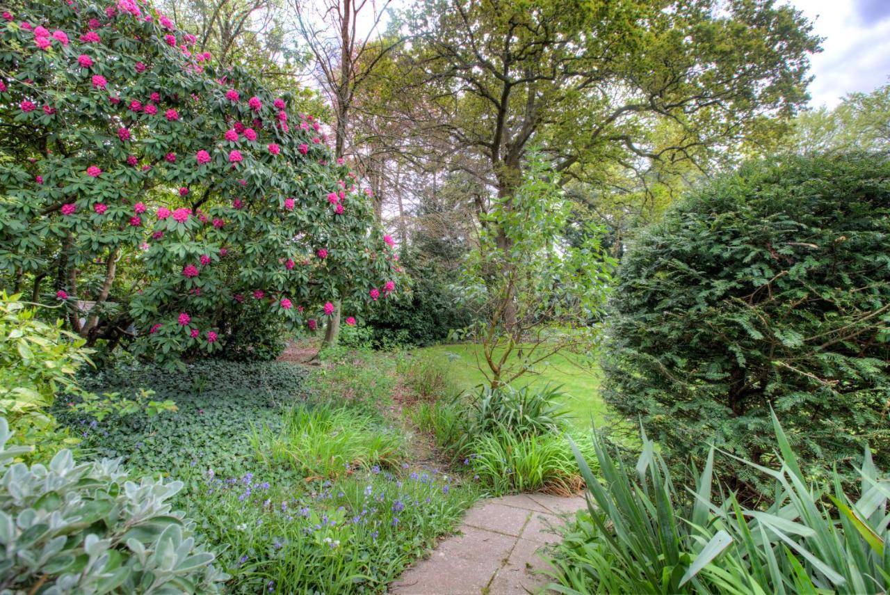Luxury 3 Bedroom Apartment Close To Beach, Bournemouth & Meyrick Park מראה חיצוני תמונה