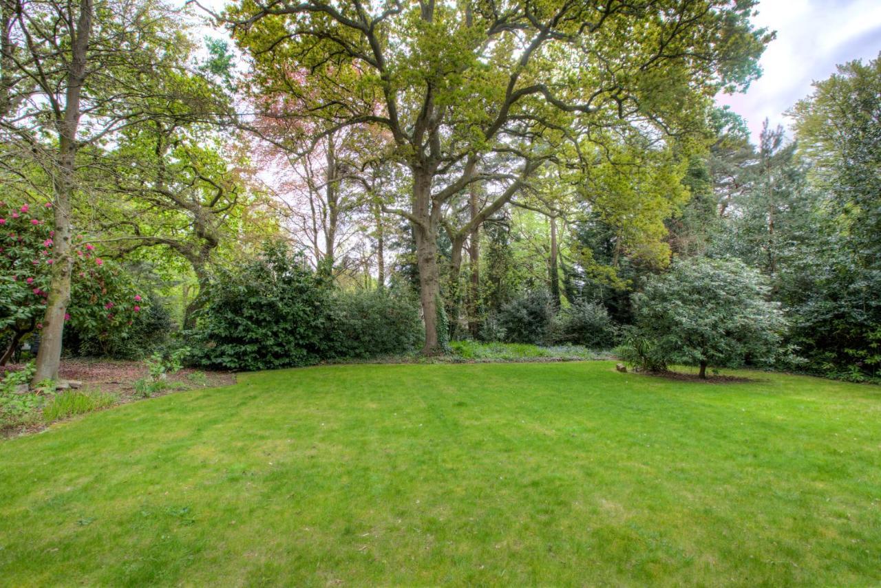 Luxury 3 Bedroom Apartment Close To Beach, Bournemouth & Meyrick Park מראה חיצוני תמונה
